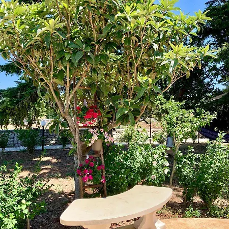 Trulli Pietra Viva Alberobello