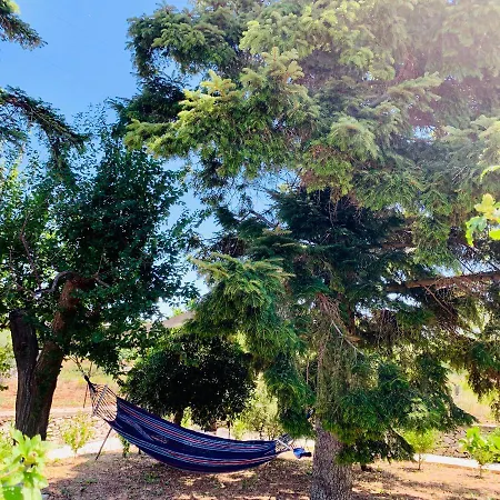 Trulli Pietra Viva Dom wakacyjny *