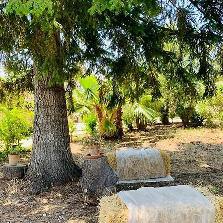 Trulli Pietra Viva *