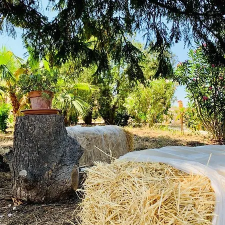 Trulli Pietra Viva Dom wakacyjny