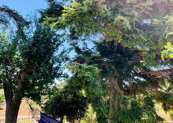 Trulli Pietra Viva 度假居 *