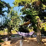 Σπίτι διακοπών Trulli Pietra Viva *