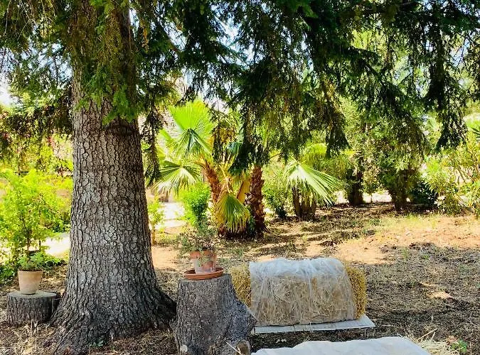 Trulli Pietra Viva *